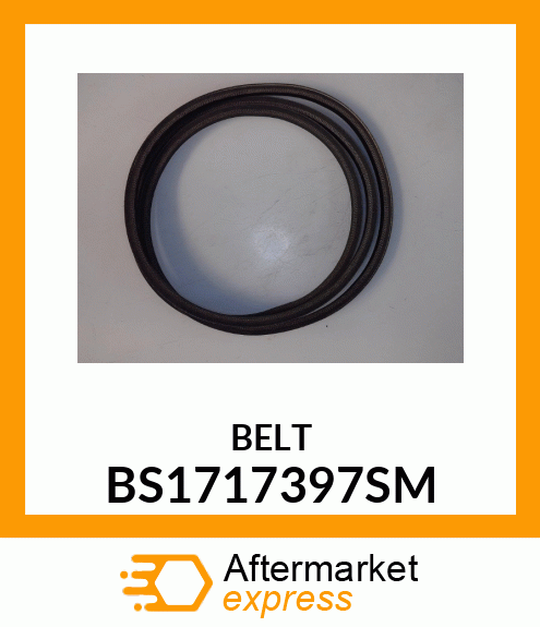 BELT BS1717397SM