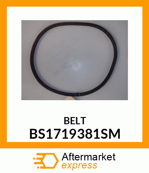 BELT BS1719381SM