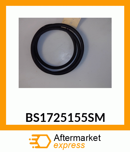 BS1725155SM