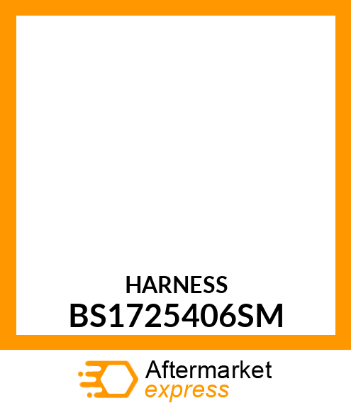 HARNESS BS1725406SM