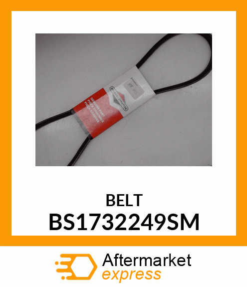 BELT BS1732249SM