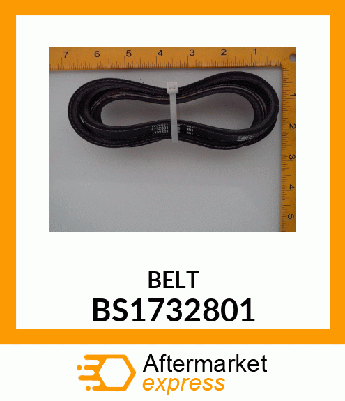 BELT BS1732801