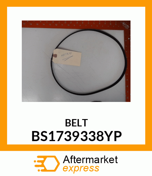 BELT BS1739338YP