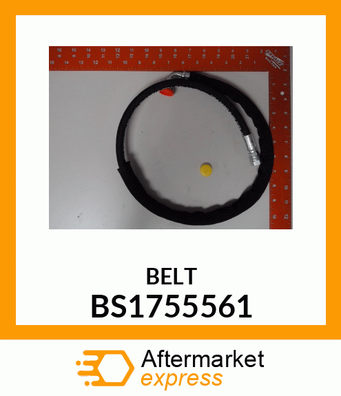 BELT BS1755561