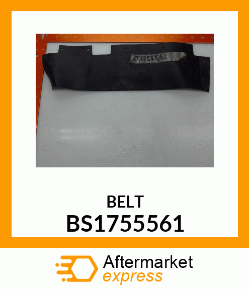 BELT BS1755561