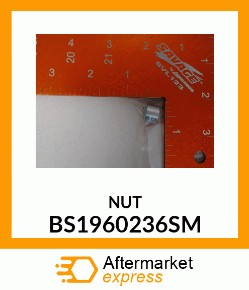 NUT BS1960236SM