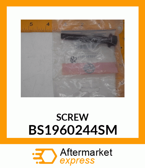 SCREW BS1960244SM