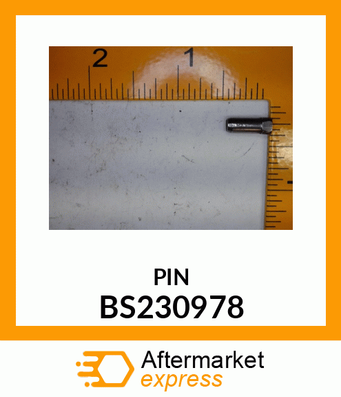 PIN BS230978