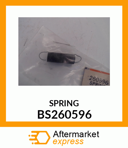 SPRING BS260596