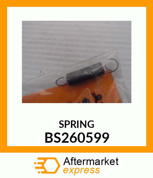 SPRING BS260599