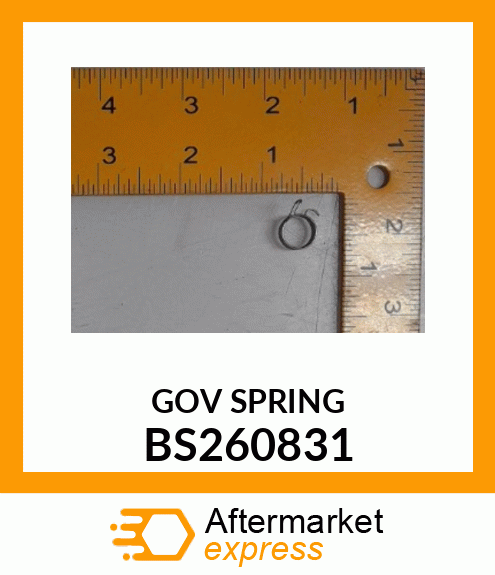 GOV SPRING BS260831