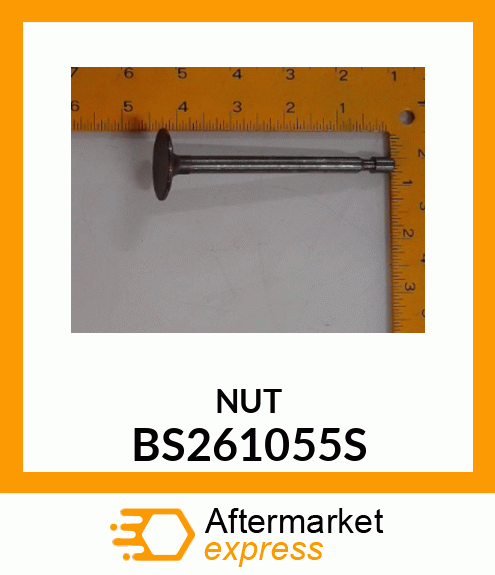 NUT BS261055S