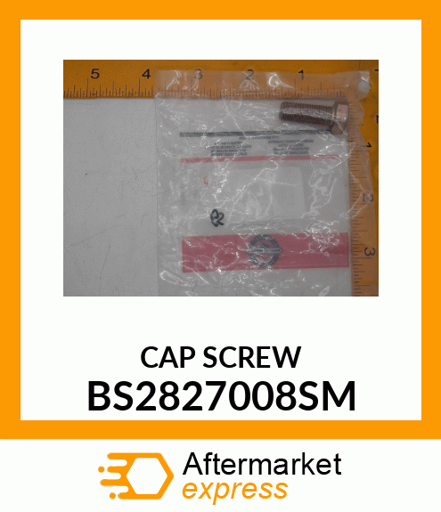 CAP SCREW BS2827008SM