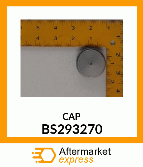 CAP BS293270