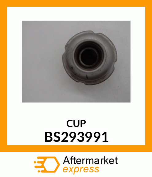 CUP BS293991