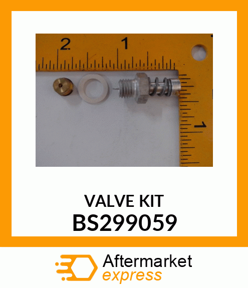 VALVE KIT BS299059