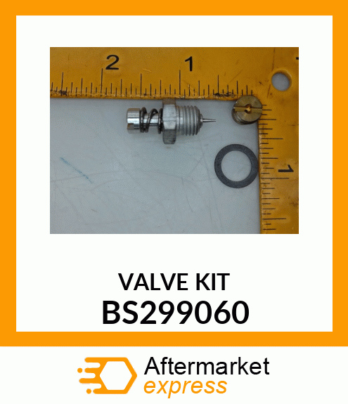 VALVE KIT BS299060