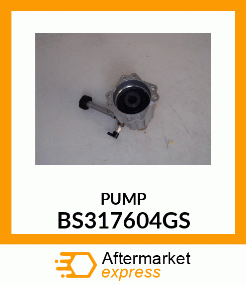 PUMP BS317604GS