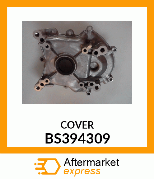 COVER BS394309