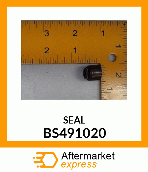 SEAL BS491020