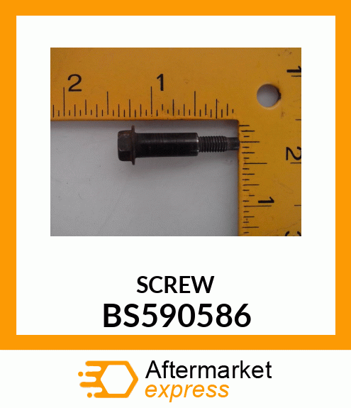 SCREW BS590586