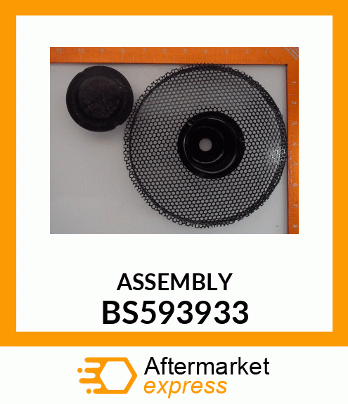 ASSEMBLY BS593933