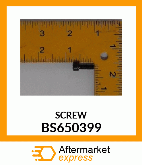 SCREW BS650399