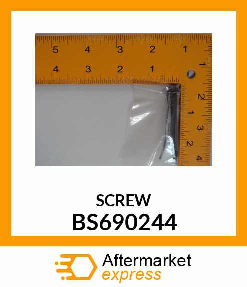 SCREW BS690244