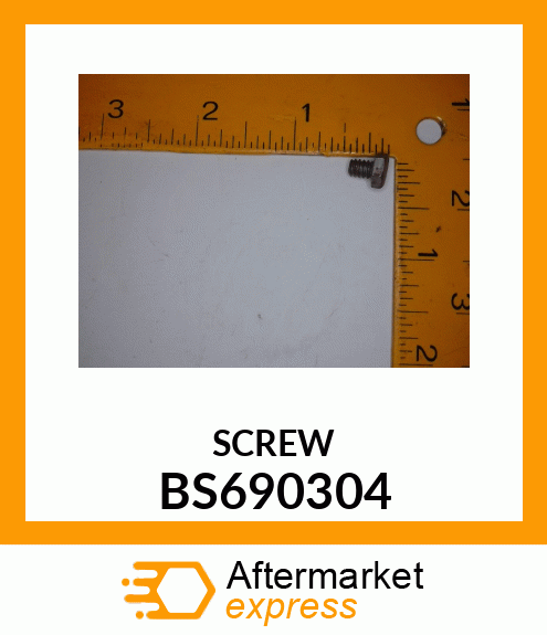 SCREW BS690304