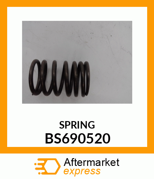 SPRING BS690520