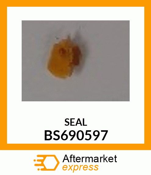 SEAL BS690597