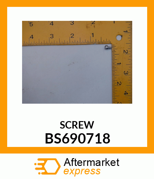 SCREW BS690718