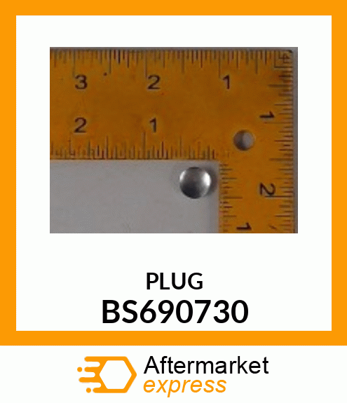 PLUG BS690730