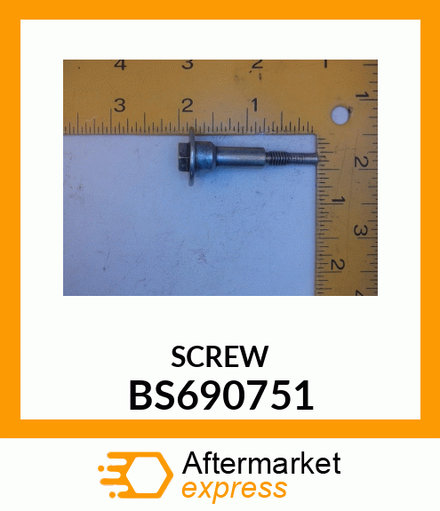 SCREW BS690751