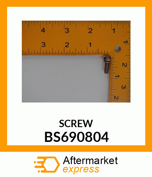 SCREW BS690804