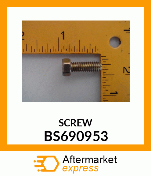 SCREW BS690953