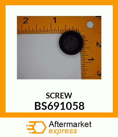 SCREW BS691058