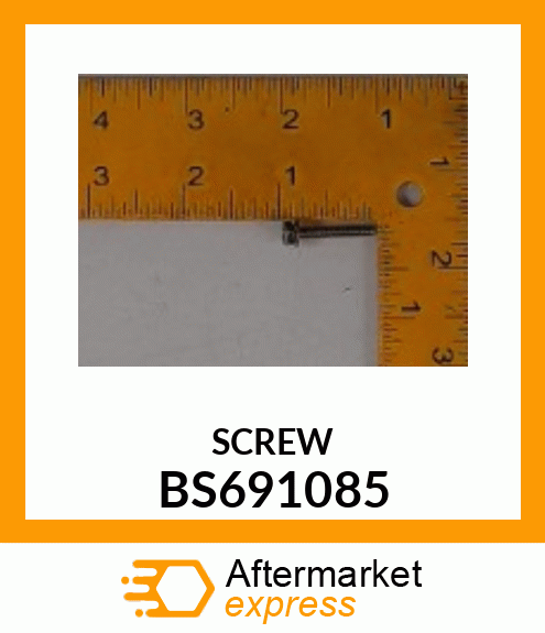 SCREW BS691085