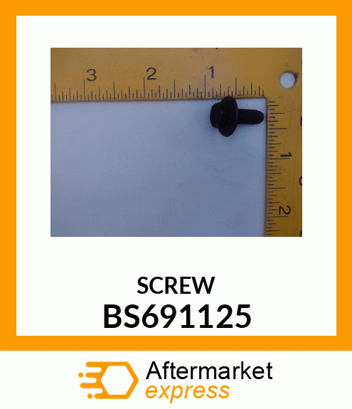 SCREW BS691125