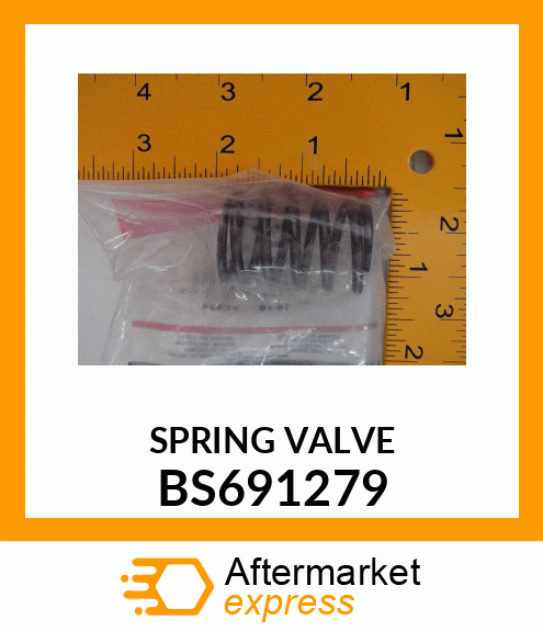 SPRING VALVE BS691279