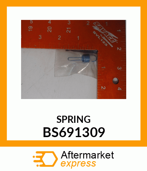 SPRING BS691309