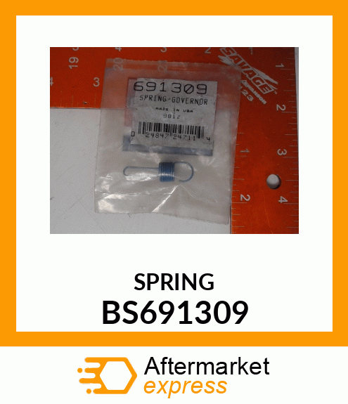 SPRING BS691309