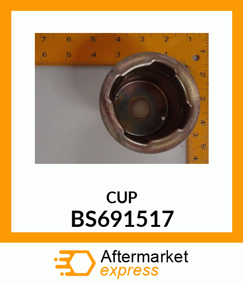 CUP BS691517