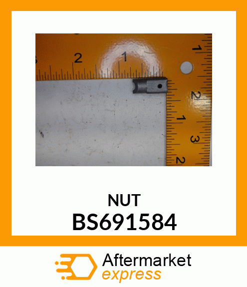 NUT BS691584