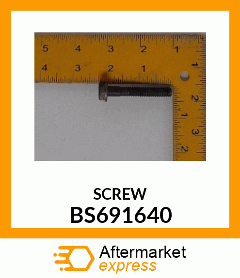 SCREW BS691640