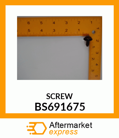 SCREW BS691675