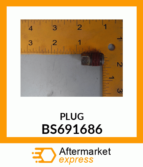 PLUG BS691686