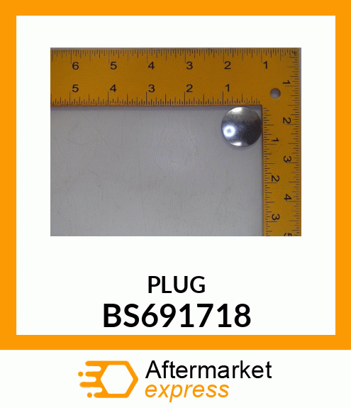 PLUG BS691718