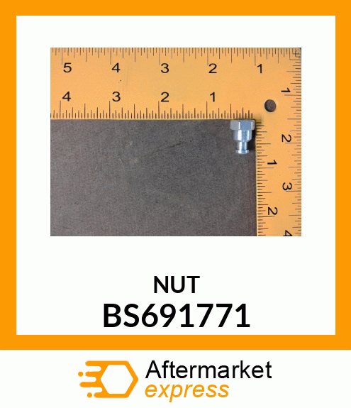 NUT BS691771