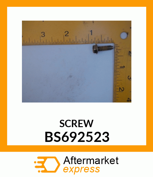 SCREW BS692523